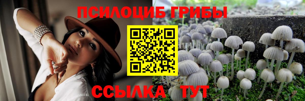 Псилоцибиновые грибы прущие грибы Прокопьевск